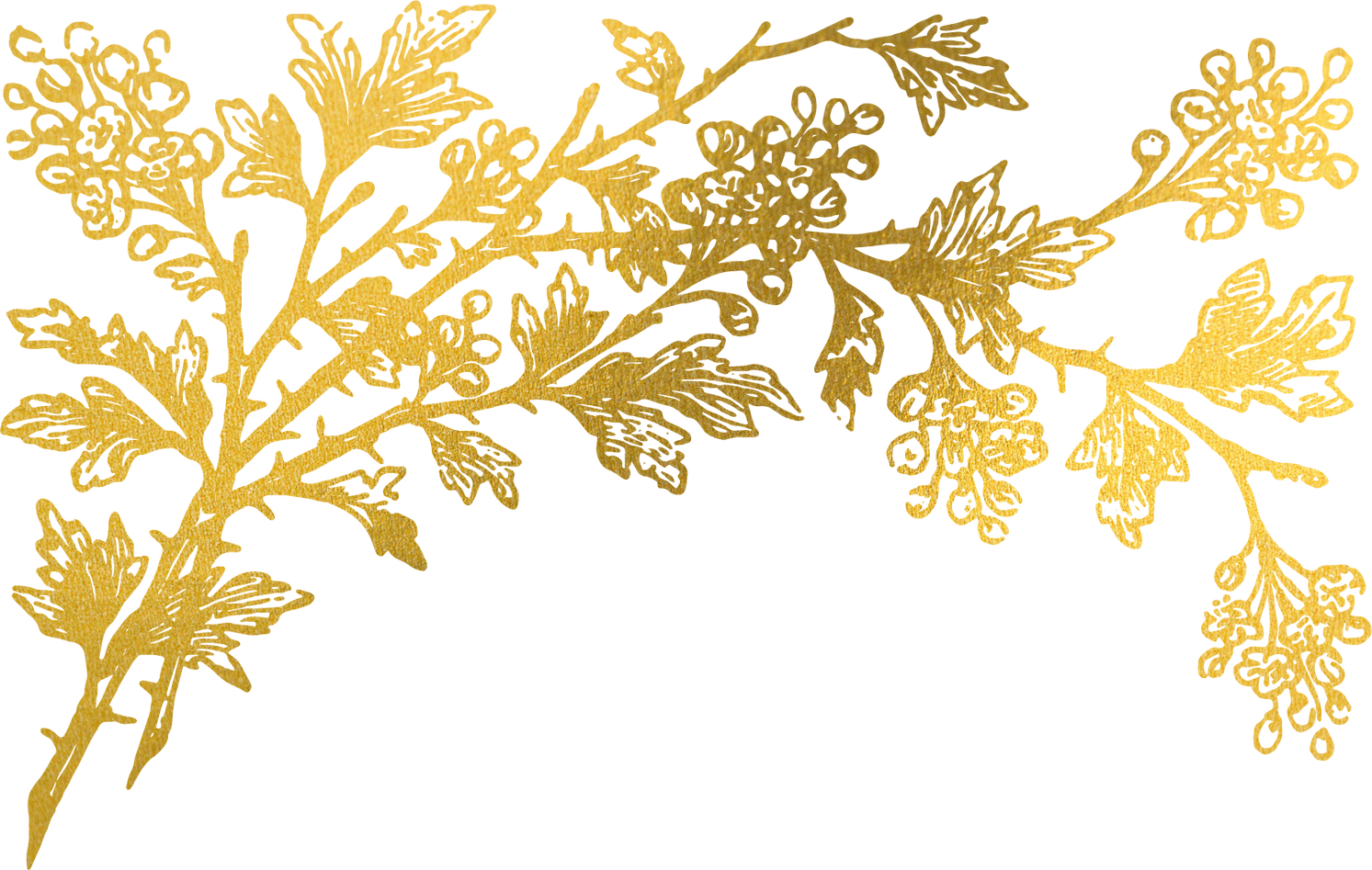Gold Flora Plant